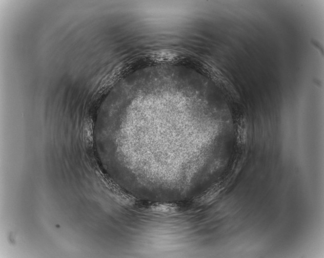X0000102460561200809051312