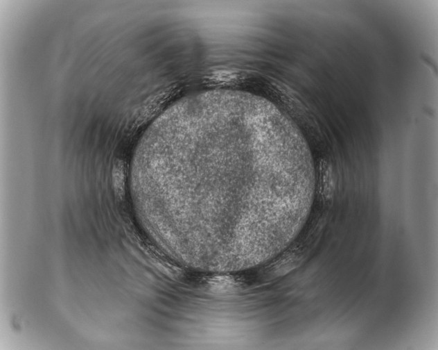 X0000102460562200809051312
