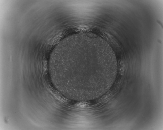 X0000102460563200809051312