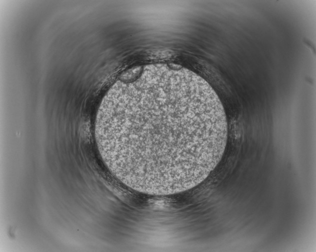 X0000102460564200809051312