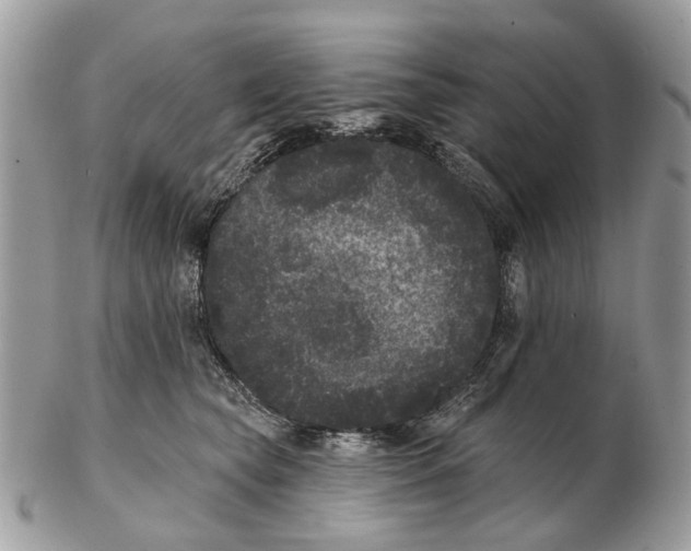 X0000102460565200809051312