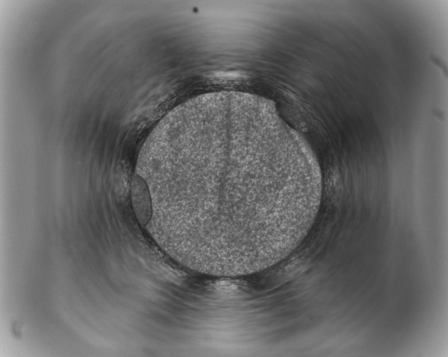 X0000102460566200809051312
