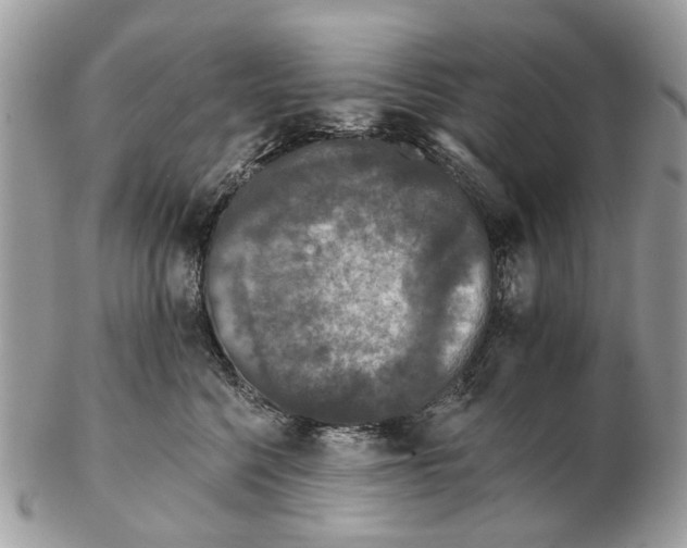 X0000102460568200809051312