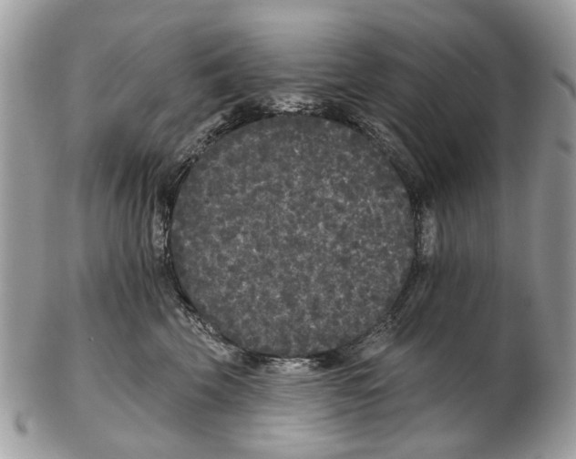 X0000102460569200809051312