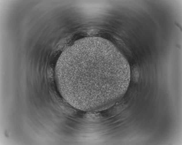 X0000102460571200809051312