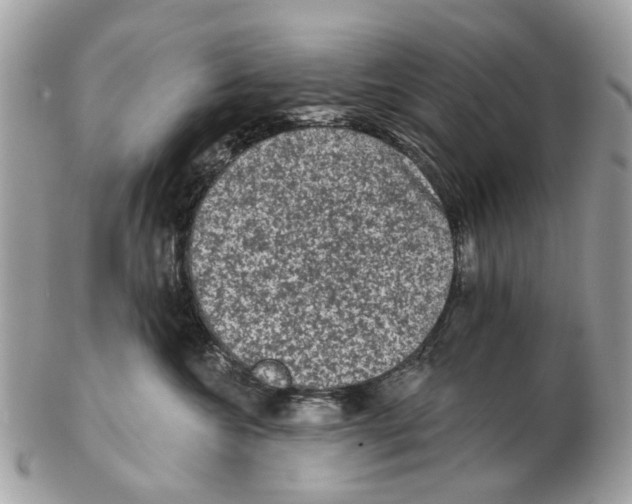 X0000102460572200809051312