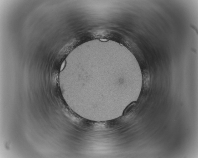 X0000102460574200809051312