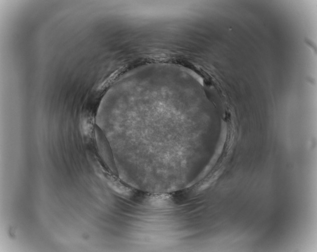 X0000102460576200809051312