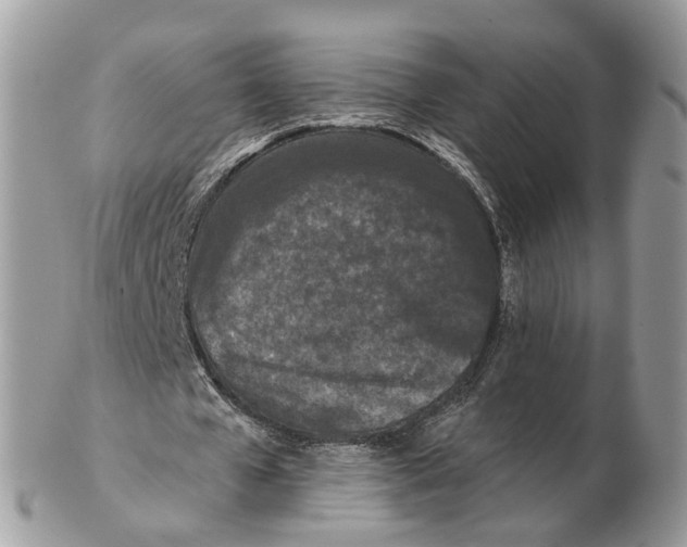 X0000102460577200809051311