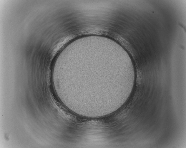 X0000102460578200809051311