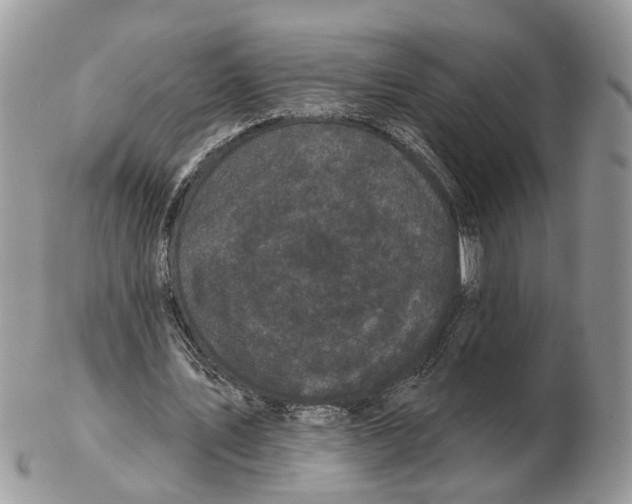 X0000102460579200809051311
