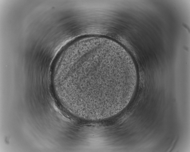 X0000102460580200809051311
