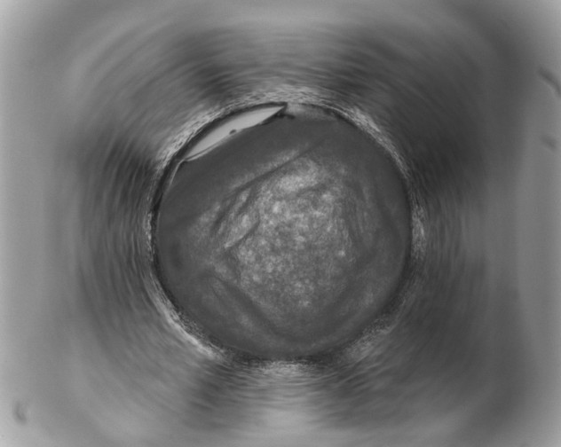 X0000102460581200809051311