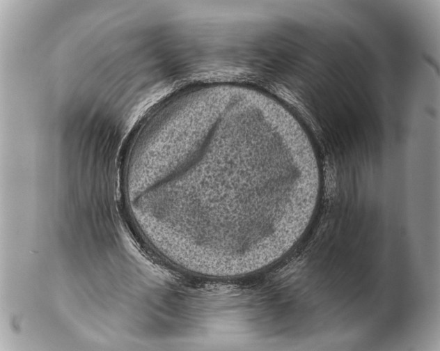 X0000102460582200809051311