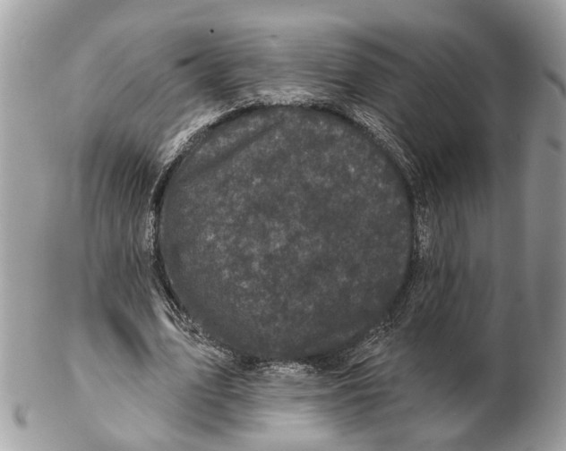 X0000102460583200809051311
