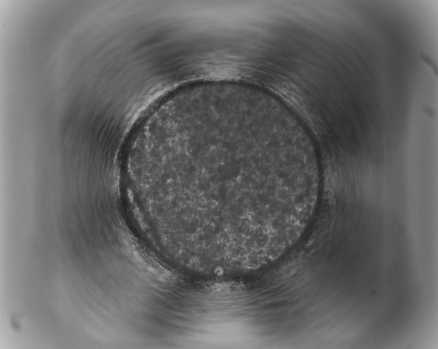 X0000102460584200809051311