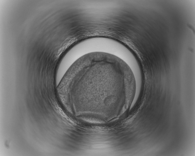 X0000102460585200809051311