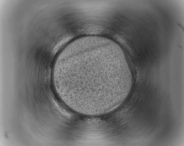 X0000102460586200809051311