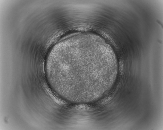 X0000102460589200809051311