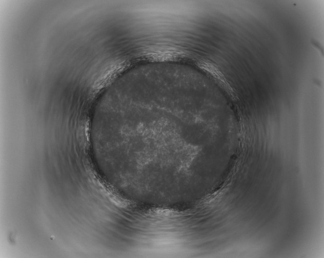 X0000102460590200809051311