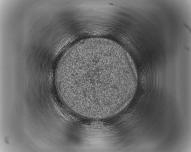 X0000102460591200809051311