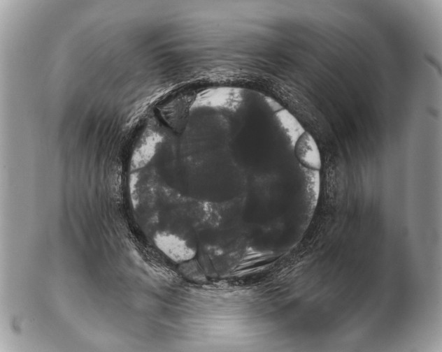 X0000102460592200809051311