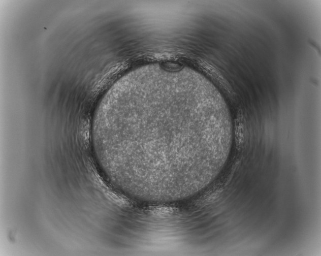 X0000102460593200809051311
