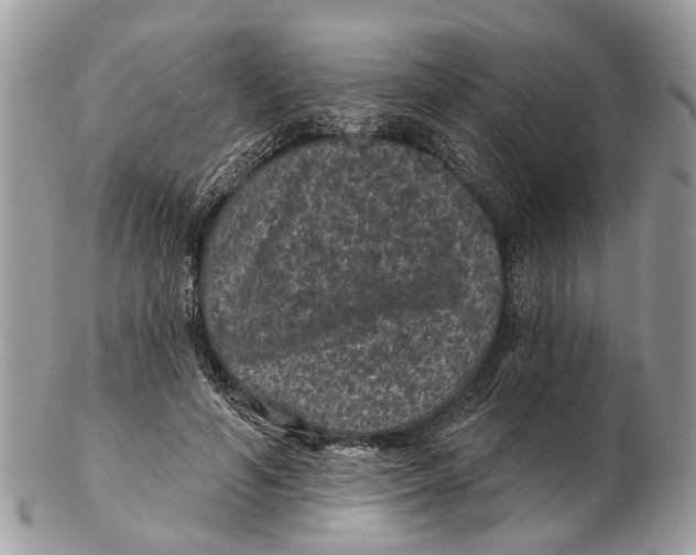 X0000102460594200809051311