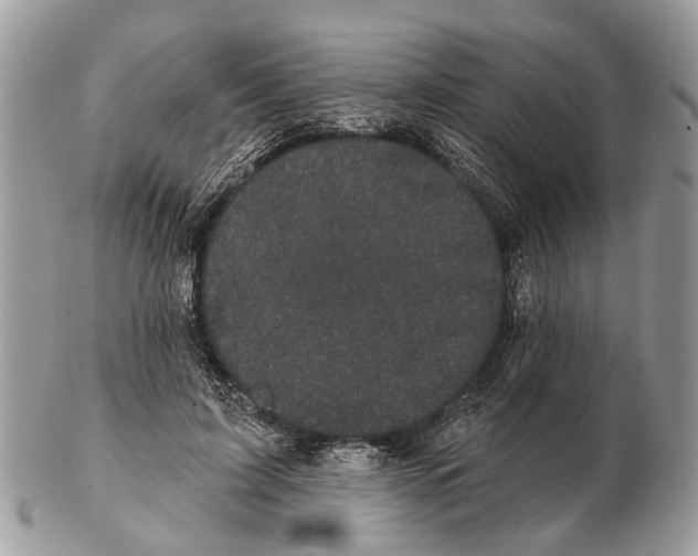 X0000102460595200809051311
