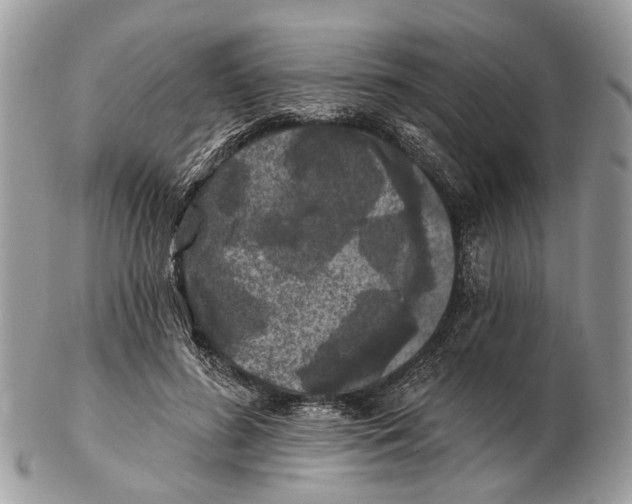 X0000102460596200809051311