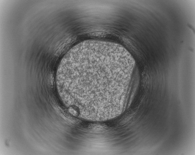 X0000102460597200809051311