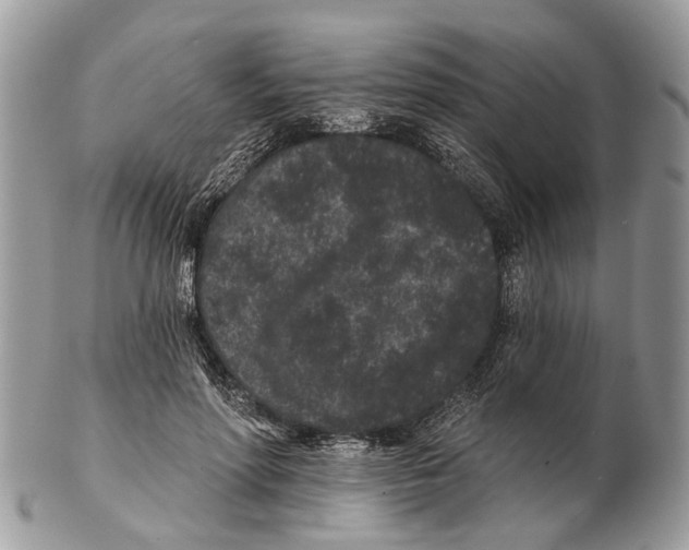 X0000102460598200809051311