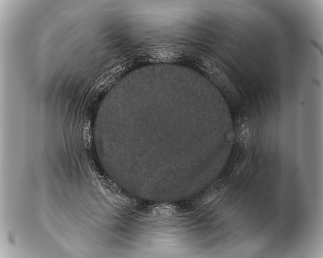 X0000102460599200809051311
