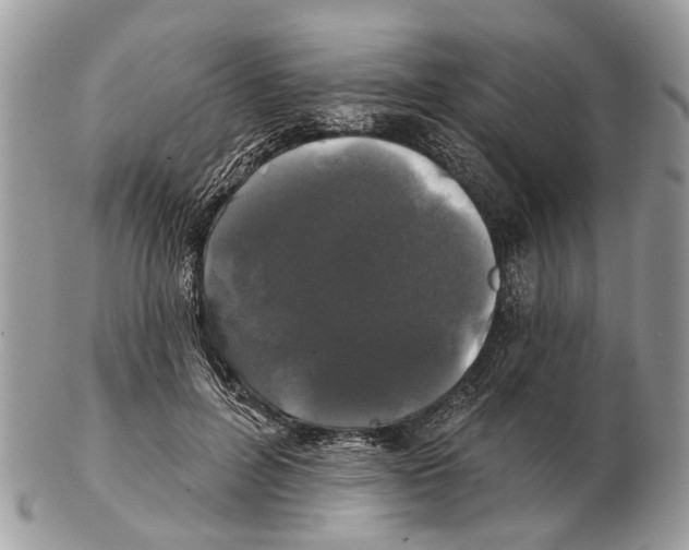 X0000102460600200809051311