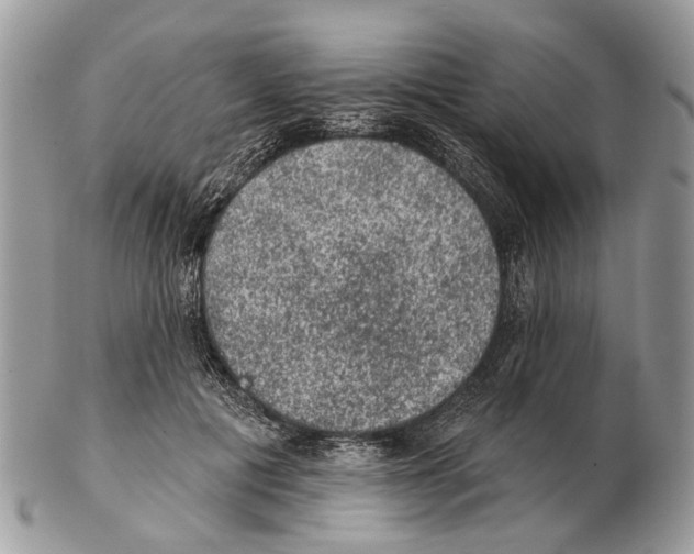 X0000102460601200809051311
