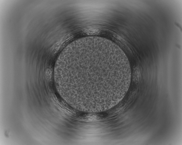 X0000102460604200809051311