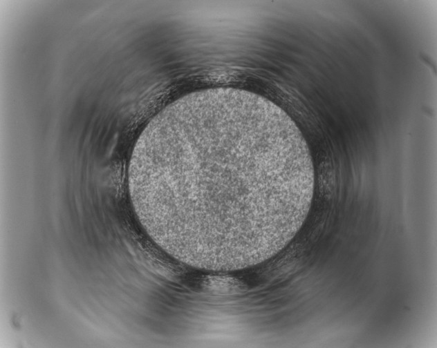 X0000102460605200809051311