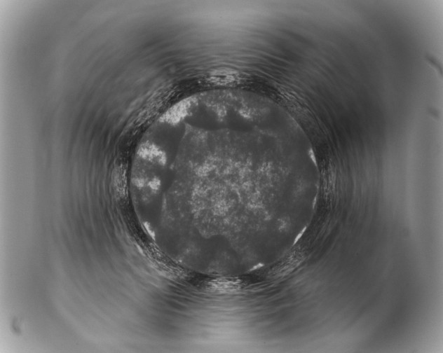 X0000102460606200809051311