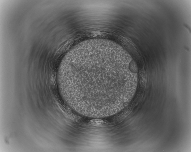 X0000102460607200809051311