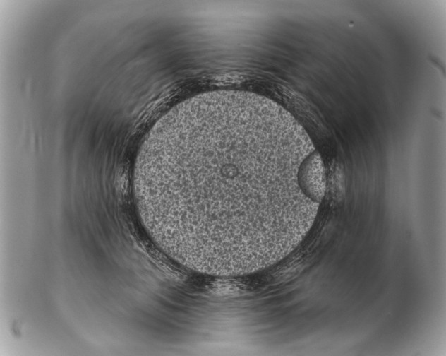 X0000102460608200809051311