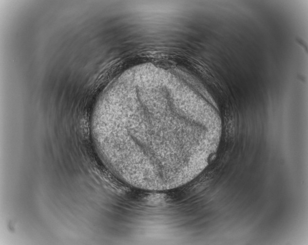 X0000102460609200809051311