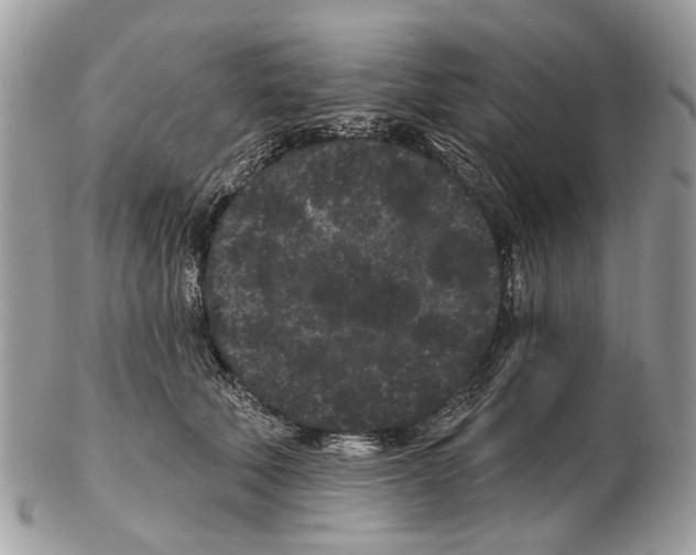 X0000102460610200809051311