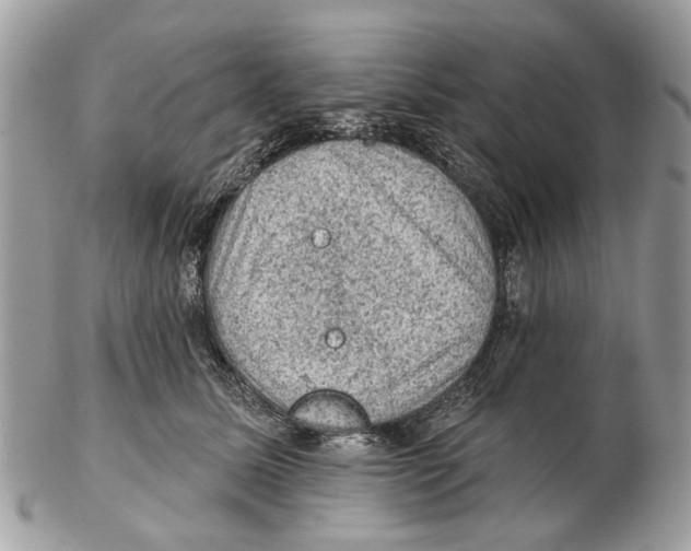 X0000102460611200809051311