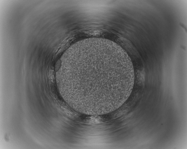 X0000102460612200809051311