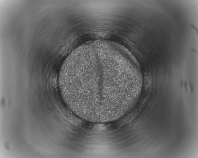 X0000102460613200809051311