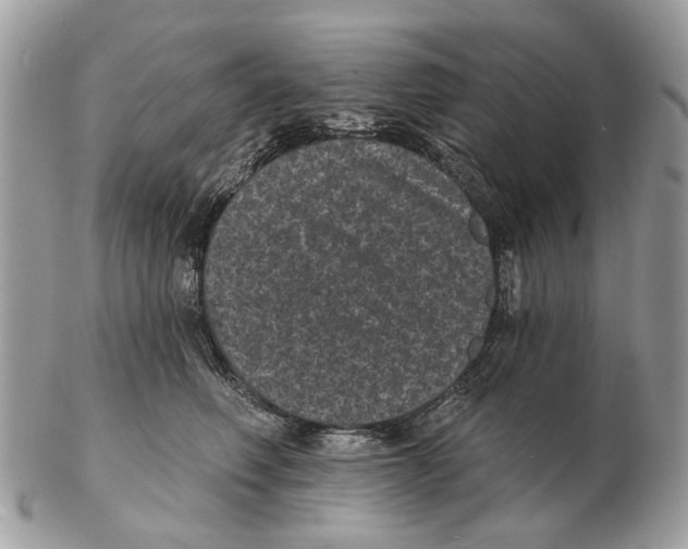 X0000102460614200809051311