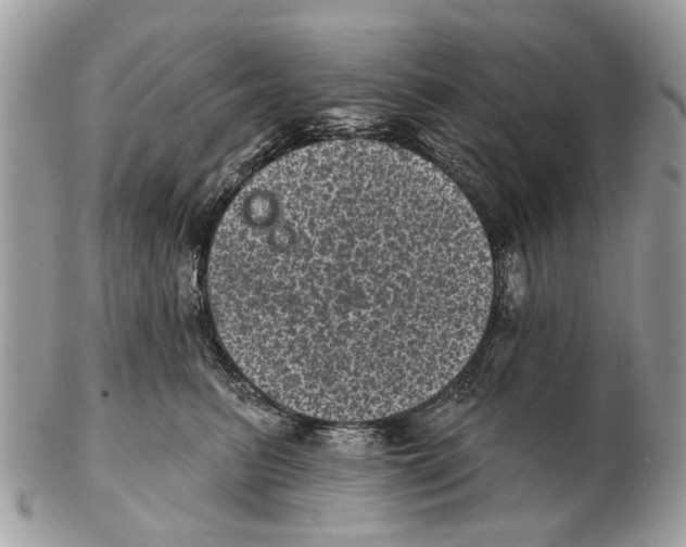 X0000102460615200809051311