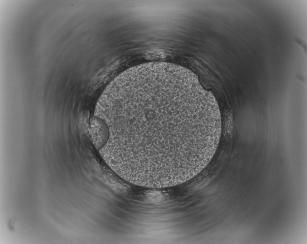 X0000102460616200809051311