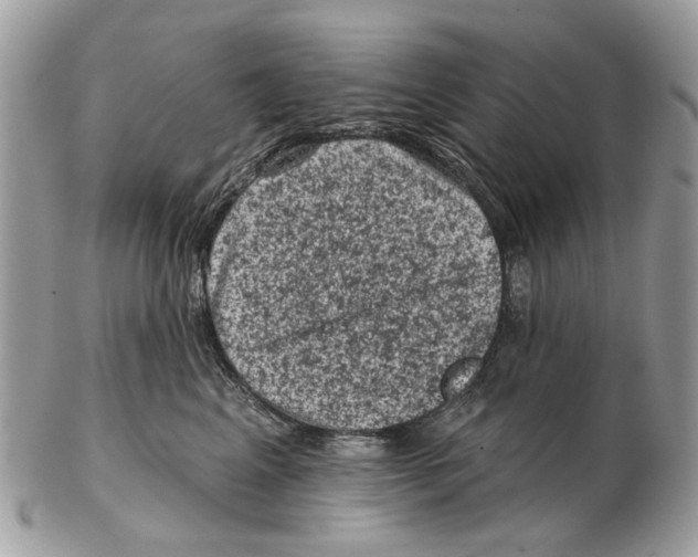 X0000102460617200809051311