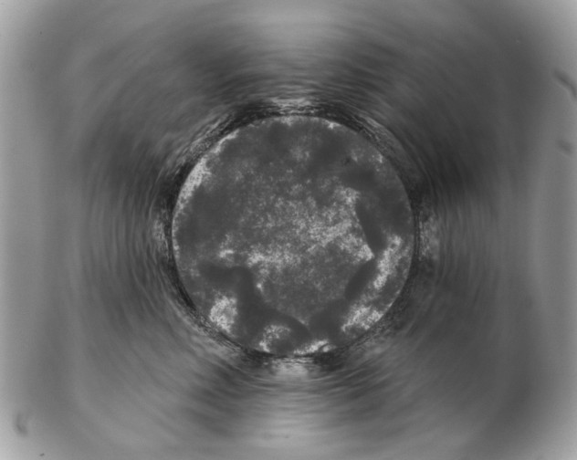 X0000102460618200809051311